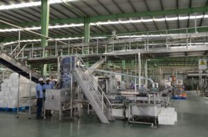 African Paint Factory